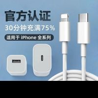 PD快充線 數據線 快充充電線 適用iPhone14pro/plus蘋果12/13max手機iPad平板PD快充數據線官方認證充電器11PXR閃充ios沖電線2米一套裝mfi『xy15284』
