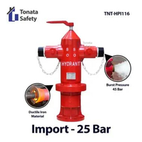 Hydrant Pillar Tonata Two Way Instantaneous / Hydrant Pillar Two Way Import / Pilar Hydrant Two Way 