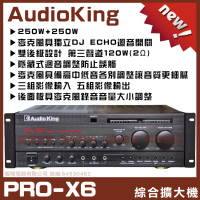 【AudioKing】PRO-X6 歌唱專業級綜合擴大機(獨立輔助第三聲道可接1-4小型喇叭)