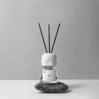 120ml Glass Aroma Diffuser with Sticks, Fireless Scent Reed Diffuser for Home, Bedroom, Office, Hotel, Bathroom Oil Diffuser
