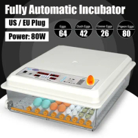 New Intelligent Electric Incubator Suitable For Household, Laboratory or Small Farm 360° Fully Automatic Egg Flipping Incubator