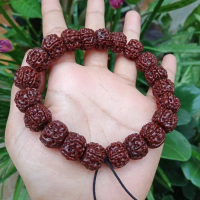 Gelang Kesehatan Jenitri Rudraksha Good Quality