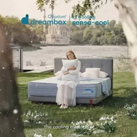 Quantum Dreambox SensaCool / Kasur Dingin / 2X Cooler / Greentea Latex / Pocket GT Latex 30 cm 120 x