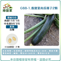 【綠藝家】G88-1.翡寶夏南瓜種子(綠櫛瓜.節瓜.嫩南瓜.美國南瓜) 2顆
