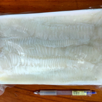 比目魚鳍邊肉3+  (冷凍蝶魚邊) 500g/盒