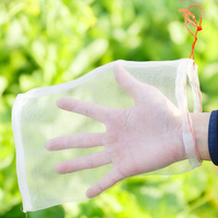 防鳥網 尼龍防蟲網袋水果套袋火龍果防果蠅防鳥袋子白色種子袋浸種袋濾網 限時88折