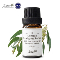 Aster Aroma 有機窄葉薄荷尤加利香薰精油 (Eucalyptus radiata)  