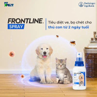 Frontline Spray 100ml - xịt diệt ve rận, bọ chét chó mèo (mẫu mới)