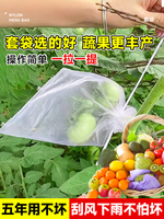 水果套袋防蟲防鳥神器葡萄專用袋桃子無花果枇杷石榴網紗通用網袋