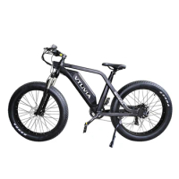 Factory wholesale E Bike High Quality 750w electric bike fat tire bicycle