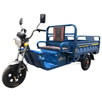 Heavy duty electric cargo vehicle 1000W high speed three wheel cargo bike truck cargo tricycle
