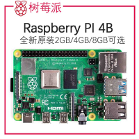 【新店鉅惠】樹莓派4代RaspberryPi4B 編程 8GB 開發板 Python LINUX4G