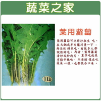 【蔬菜之家】A28.葉用蘿蔔種子(日本時田種苗公司進口)(共有2種包裝可選)