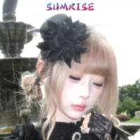 Aksesoris Rambut Wanita Topi Hias Vintage Nonik Belanda Jepit Rambut Mini dengan Bunga, Bulu & Jala 