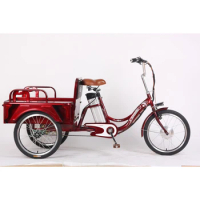 3 wheel electric three-wheeled motorcycle elderly electric trike tricycle cargo bike