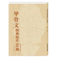Oracle Bone Script Classic Rubbings 100 Cases Copybook Chinese Calligraphy Seal Engraving Set Book Pictures and Text Combination