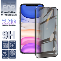 NISDA for iPhone Xs Max / iPhone 11 Pro Max 6.5吋 霧面防窺 2.5D滿版玻璃保護貼-黑