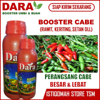 REKOMENDED BOOSTER CABE TERBAIK DARA 500 ML – Obat Cabe Terlaris – Obat Cabe Mekar Lebat Tanpa Layu 
