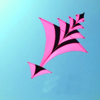 Free shipping 3d sailing kites nylon fabric outdoor toys flying king cobra chinese kite sport factory power new kites rods squid