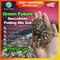 On sale [READY TO USE]SUCCULENT Potting mix Cactus Succulent Mix Soil cactus soil succulent soil gra