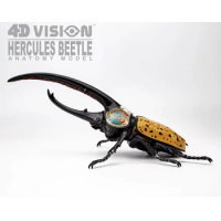 Rhinoceros Beetle Model 4D MASTER 26108 Puzzle Insect Anatomy Toys DIY Animal Products Biological Teaching Demonstration Gift