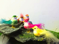動物模型仿真喜鵲 彩色翠鳥泡沫羽毛道具攝影裝飾 園林舞臺道具