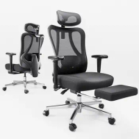 Hbada Ergonomic Office Chair with 2D Adjustable Armrest, Office Chair with 2D Adjustable Lumbar Support, Computer Chair with