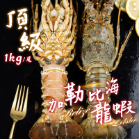 【一手鮮貨】奢華加勒比海大龍蝦(2尾組/單尾900-1200g/貝里斯龍蝦)