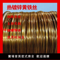 {台灣公司 可開發票}熱鍍鋅黃鐵絲熱鍍鋅白鐵絲鐵絲果蔬大棚12號16號鐵絲diy園藝鐵絲