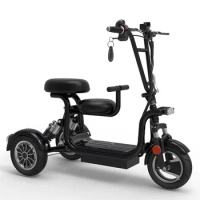 Bike 3 Wheel for Adults Mini Scooter Three Wheels Two Seat Adult Cheap Electric Tricycle custom