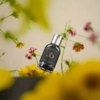 DR Parfume Savage Men - Parfum Pria