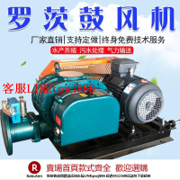 【咨詢客服驚喜多多】高壓熔噴布三葉羅茨鼓風機大型魚塘曝氣增氧機  氣力輸送污水處理