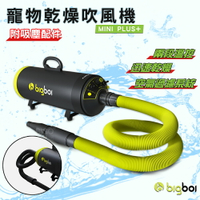 最新到貨》bigboi MINI PLUS寵物雙馬達吹風機吹水機(附吸塵套件) 寵物洗澡/吹毛/烘毛 汽機車吹乾/洗車