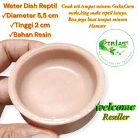 TEMPAT MINUM Gecko dan Reptil lain/water dish Gecko/water dish reptil/TEMPAT MINUM REPTIL/FEEDING DI