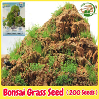 เมล็ดพันธุ์ หญ้าบอนไซ หญ้าร็อคกี้ บรรจุ 200 เมล็ด Bonsai Grass Plant Seeds for Aquarium Rockery Deco
