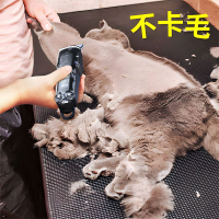 全寵通用】德國寵物電推剪狗狗剃毛器貓咪狗毛剃毛推毛器電推子 d7193