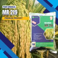 padi unggul MR 219 kemasan 1 kg