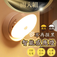 【夜釣首選 兩入組】360度 可調節磁吸式感應LED燈(露營燈 USB充電 釣魚燈 床頭燈 桌燈 走廊燈 樓梯燈)