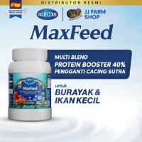 Bluecore MAXFEED maxfeed 30gram 500gram pakan makanan burayak ikan kecil penghemat pengganti cacing 