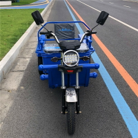 新款電動三輪車平板車擺攤車貨運家用代步接送孩子成人拉貨載貨車