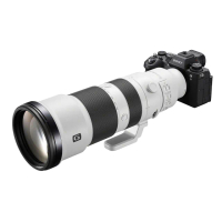 【SONY 索尼】FE 400-800mm F6.3-8 G OSS 超望遠變焦鏡頭(原廠公司貨 二年保固)
