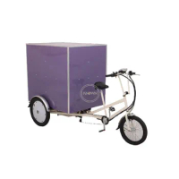 Adults City Electric Express Cargo Bike With Closed Box High Quality 3 Wheel Tricycle for Carriage Goods