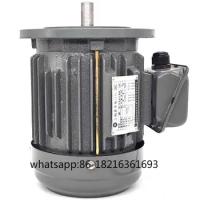 AEVF Vertical Three-phase 220 380V Philharmonic Group AC Induction Induction Induction Motor