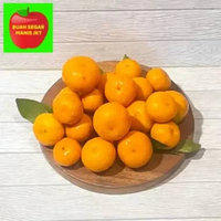 BUAH JERUK SANTANG DAUN FRESH SANTANG MADU 500 GR