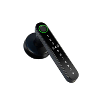 【昌運監視器】DJS-SK01-PRO 指紋密碼智慧電子鎖 感應版 電子鎖 支援電腦端管理