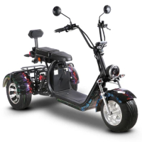 SC09 EEC/COC 10INCH Removable Battery Golf 3 Wheel Electric Scooter Electric Tricycle