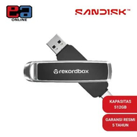 SanDisk DJ Flash Drive 512GB ( Up to 1000MB/s ) 512GB