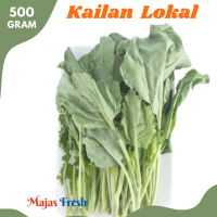 KAILAN Hijau Segar - Sayur Kaylan Gai Lan Lokal Fresh | 500gr [ Harga Per 0,5 Kg ]