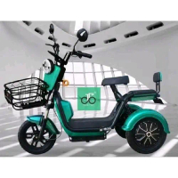 Sepeda Listrik Roda 3 Antelope Nova PRO TERBARU