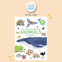 The Ultimate Book of Animals - Imported Children Education Book Flap Pop Up - Buku Impor Inggris Hew
